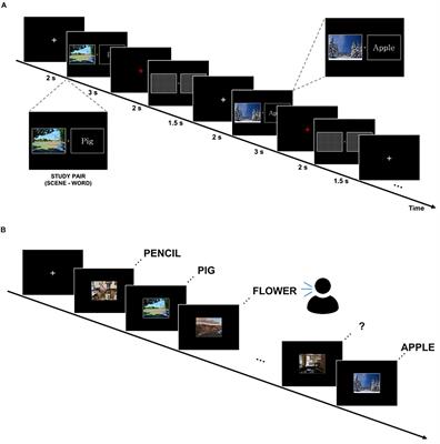 Single-Trial EEG Connectivity of Default Mode Network Before and During Encoding Predicts Subsequent Memory Outcome